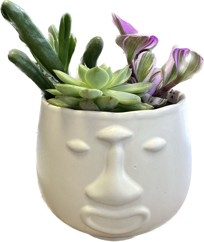 pot visage
